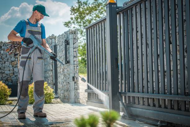 Boat and Dock Cleaning in Haines City, FL