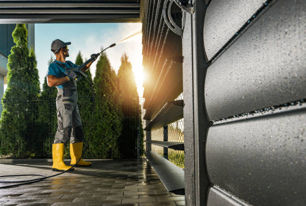 Best Animal Enclosure Cleaning  in Haines City, FL